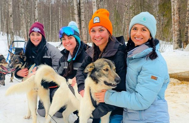 Dog Sled and Snowmobile Combo Experience in Willow Alaska
