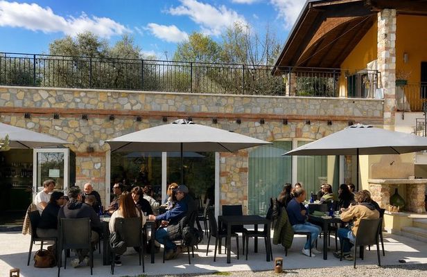 Tasting of Venetian cicchetti among the olive trees at Lake Garda
