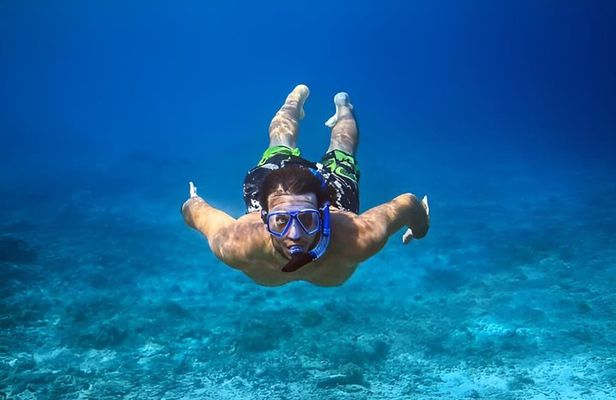 Roatan private Snorkeling Adventure monkey Sloth west Bay Beach.