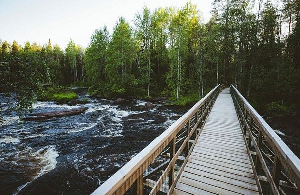 Santa Claus Village & Rovaniemi Nature, City Tour with Local BBQ