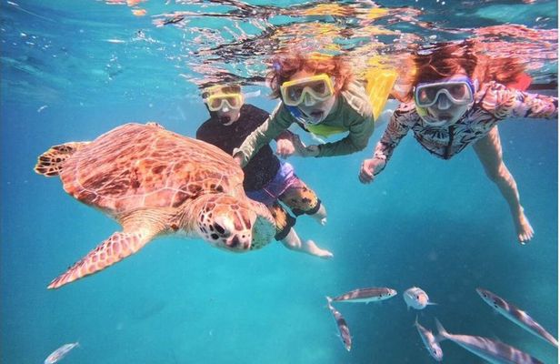 Best Snorkeling Tours with Complimentary Photos