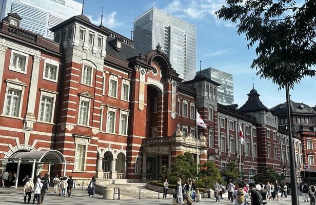 1D Tokyo Private Walking Tour with Expert Guide from Yokohama