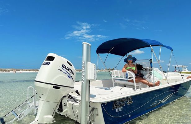 Snorkeling, Dolphin and Wildlife Sightings at St. Andrews Bay