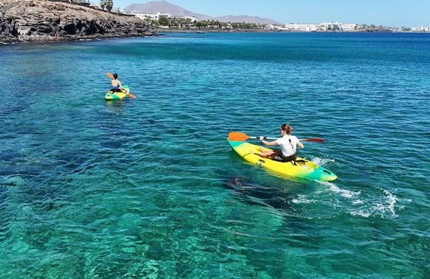 Kayak Tours and Snorkeling in Playa Blanca Lanza