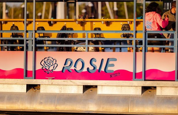 1 Hour Private Rosie Newport Pedal Party Boat Tour
