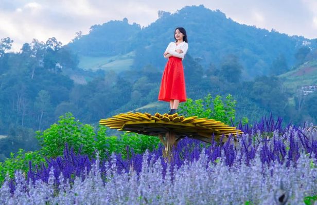 Mon Jam Flower Hills, Alpaca Cafe & Dantewada (Private Trip)