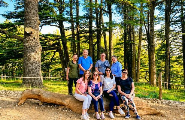 Small-Group Tour Qadisha Valley, Becharre and Cedars with Lunch and Tickets