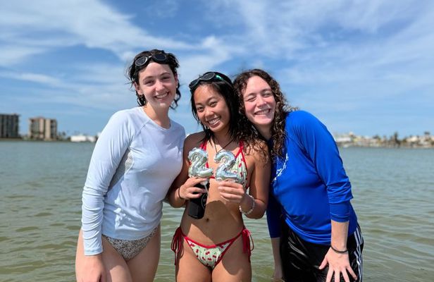 Mangroves to the Sandbar - Snorkel & Float Sandbar Experience