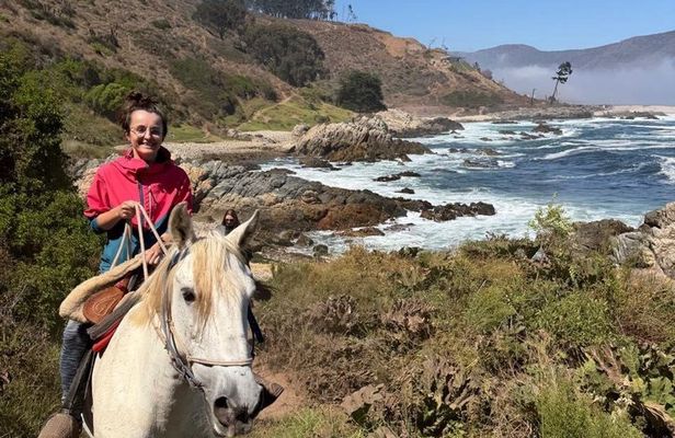 Papudo : Navigation, Penguin Watching and Riding
