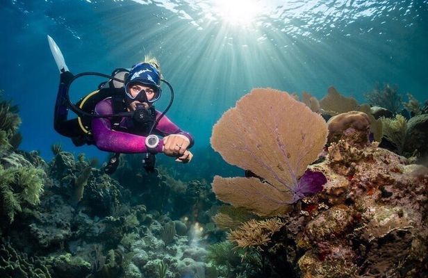 Roatan Scuba Diving Adventures and Tours