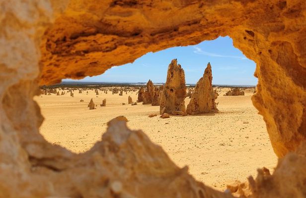 Koala, Lancelin, Wedge Island and Pinnacles Tour from Perth