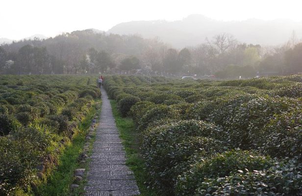 Hangzhou West Lake Bike Tour: How China Turn Nature into Art