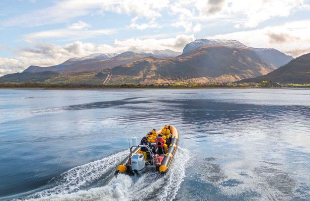 1 Hour Loch Safari Tour in Fort William