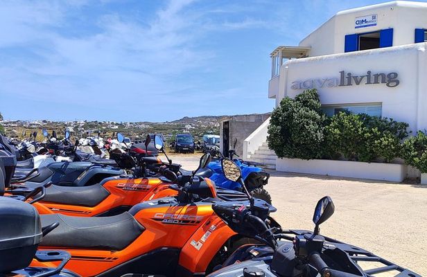 Mykonos ATV and Buggy Tour with Private Guide