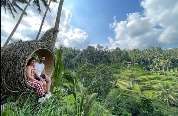 Ubud Tour with Monkey Sanctuary, Rice Terrace and Holy Spring