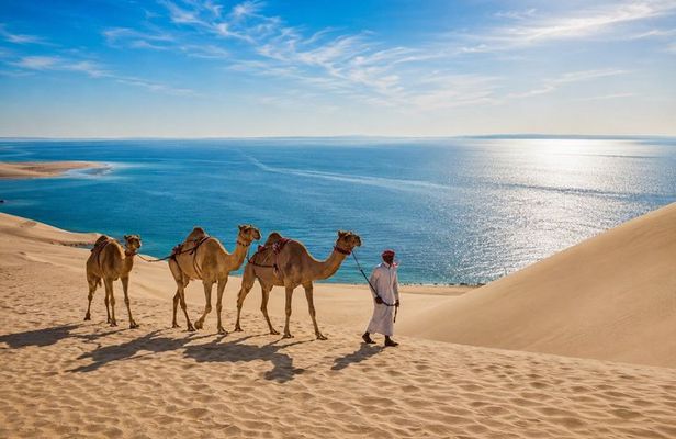 Private Qatar Desert Safari with Inland Sea, Camel Ride & 4x4