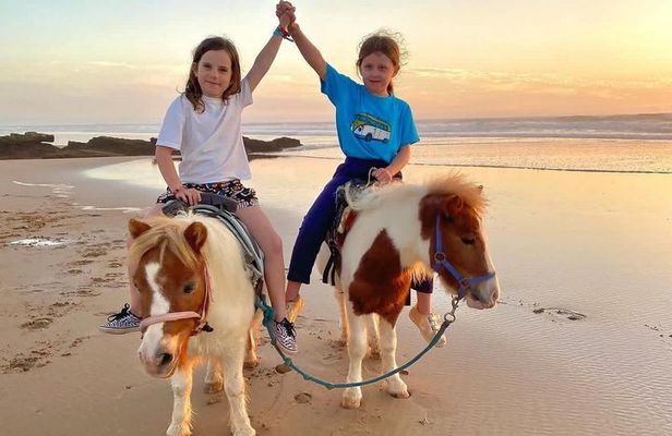 Agadir Beach Horse Riding Experience with Tea Break