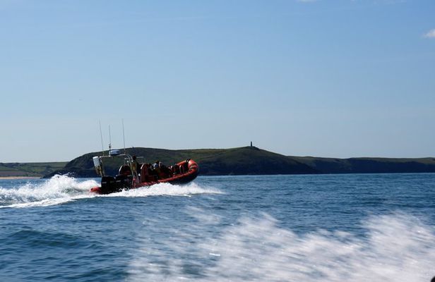 1 Hour Sea Safari RIB Boat Trip