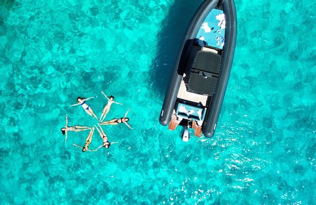 Dolphin watching tour in Luxury inflatable boat with skipper