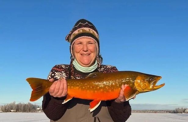 Dog Sled and Ice Fishing Combo Experience in Willow Alaska