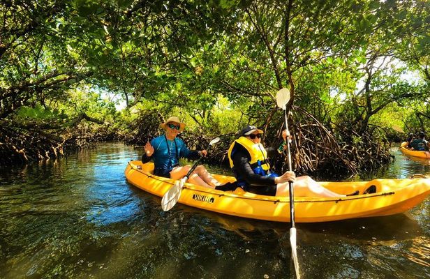 Noosa Heads: Epic Hidden Waterways & Wildlife Kayak Tour