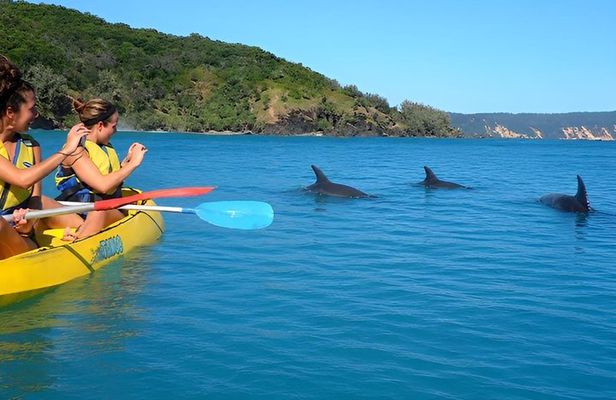 Epic Kayak With Dolphins & Wildlife - 4WD Beach Adventure Noosa