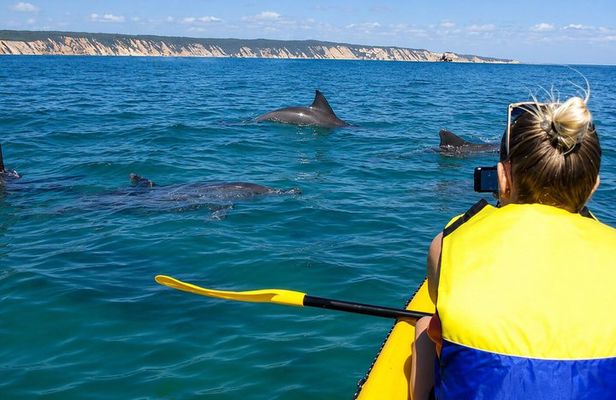 Rainbow Beach: Dolphin & Wildlife Ocean Kayak & Beach 4WD Tour