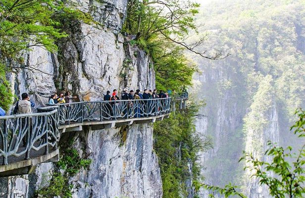 1-2 Days All-inclusive Tours: Mt Avatar, Glass Bridge, Mt Tianmen