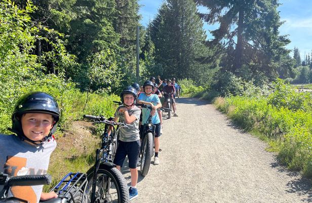 2 Hours eBike Whistler Multi-generational Tour with Local Guide