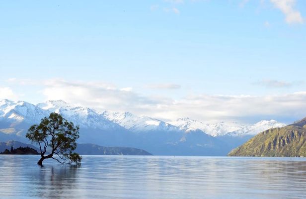 Wanaka Private Tour from Queenstown Scenic Drive and Lakeside