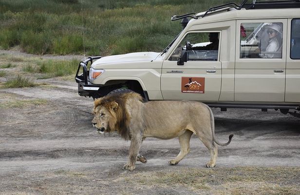 2 Days Tarangire and Ngorongoro Group Camping Adventure