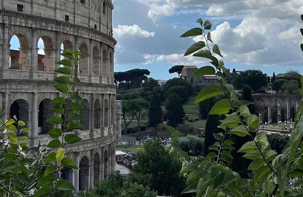 Colosseum History Legends and Secrets