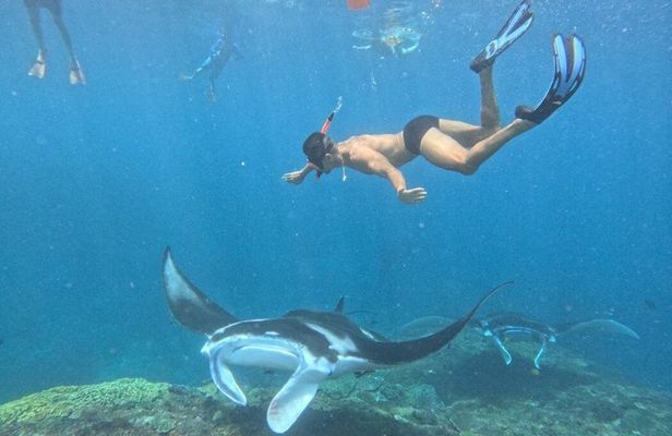 Nusa Penida Full Day Trip to West Part from Nusa Lembongan