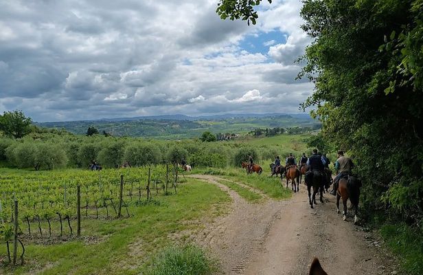 Horseback Ride with Aperitif in the Hills of Pisa