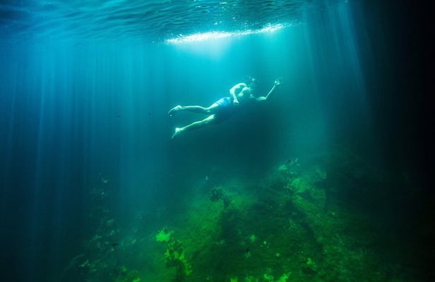 Snorkel in America´s Largest Reef and 3 Hidden Cenotes