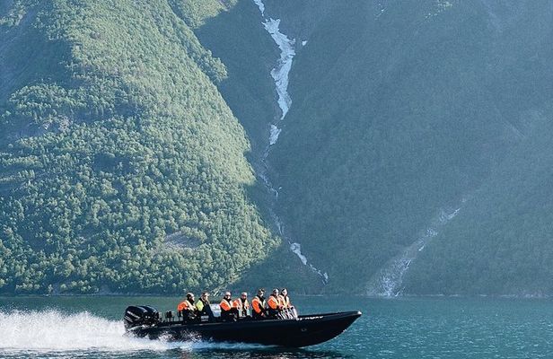 Coastal Safari by RIB from Ålesund