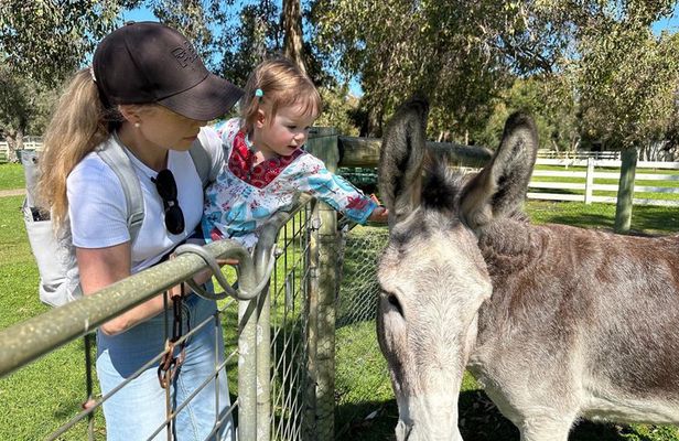 Private Swan Valley Family Fun Day Wildlife Chocolate and Winery
