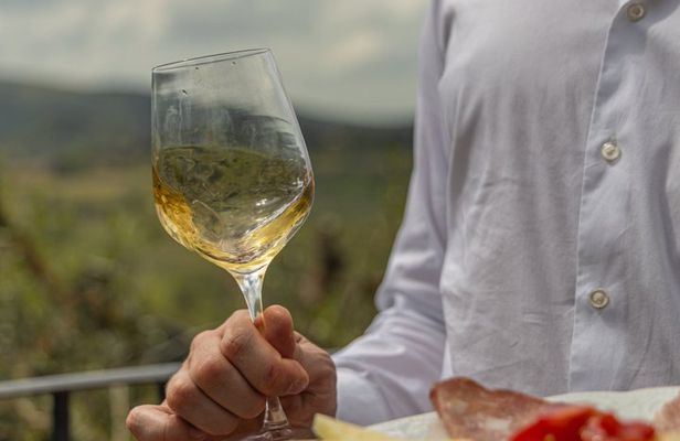 [MAX 8pp] Gelato, Wine & Cheese in San Gimignano from Florence