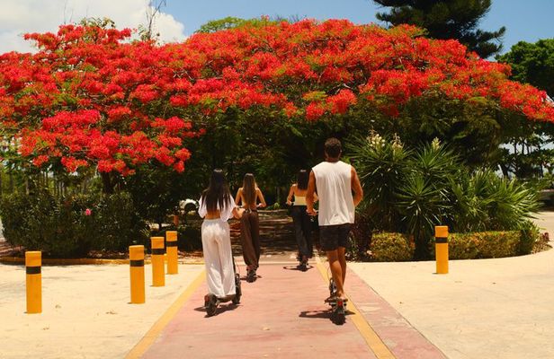 Segway Scooter Tour Cancun – Ocean Views & Hotel Zone 1.5 Hours