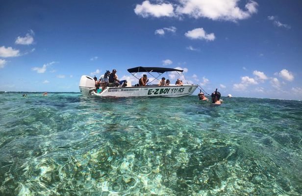 Caye Caulker Marine Reserve and South Channel Half Day Snorkeling