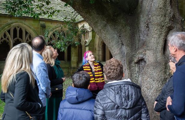 Harry Potter Oxford Walking Tour with Hogwarts Film Site Visits