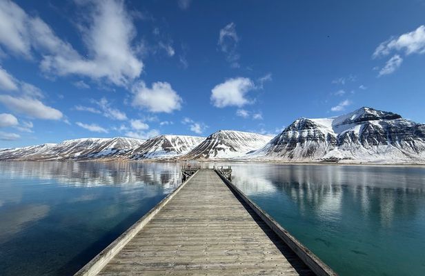 2 Hour Flateyri Village and Fjords Views Afternoon Tour