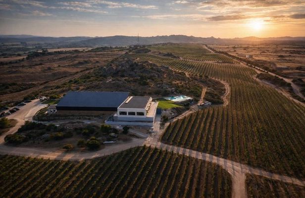 Wine tasting in Gallura with typical products