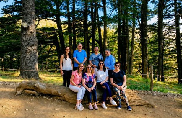 Private Qadisha Valley, Gibran Museum & Cedars Tour | Beirut