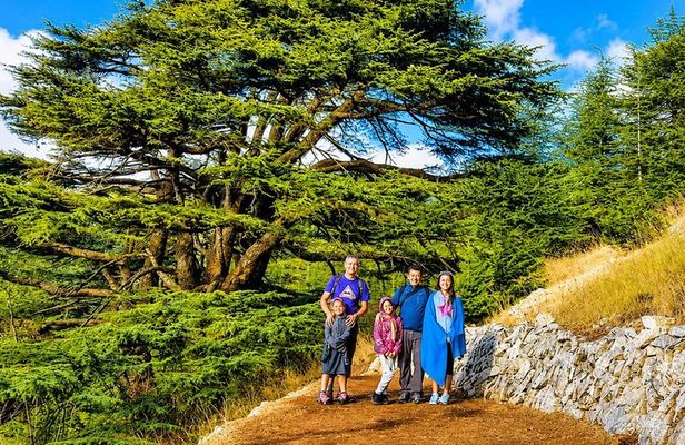Private Cedar Hike, Beiteddine Palace & Deir el Qamar Tour