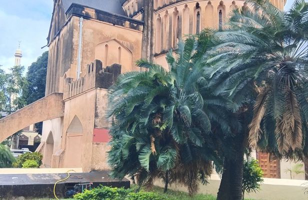Zanzibar: Private Stone Town & Prison Island.