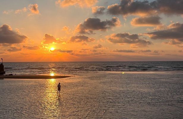 Tel Aviv Port Walk with Maccabiah and Independence Stories
