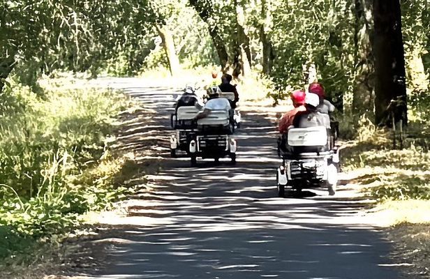 Healdsburg Wine Country Electric Trike and Wine Tour 3 Hours