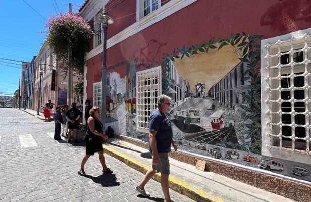 Valparaiso Private Tour with Wine Tasting from Santiago