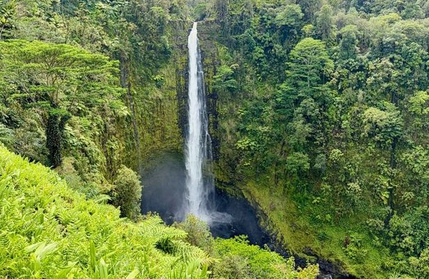 Hilo Shore Excursion Tropical Escape: Akaka Falls & Black Sands